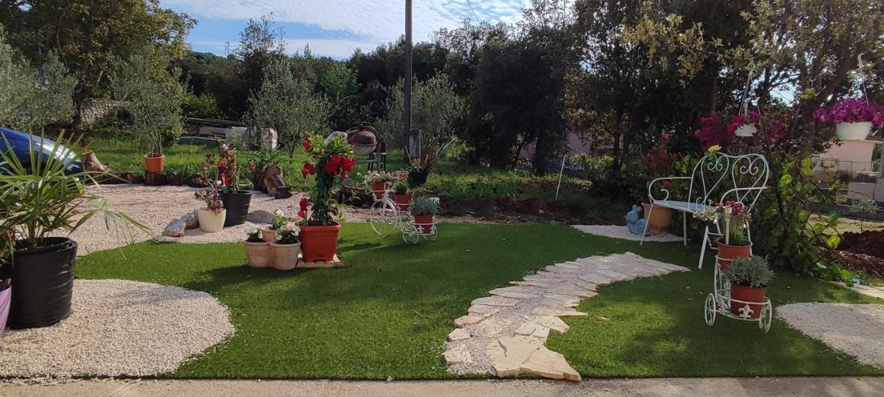 Apartments Villa Mihaela Banj Extérieur photo
