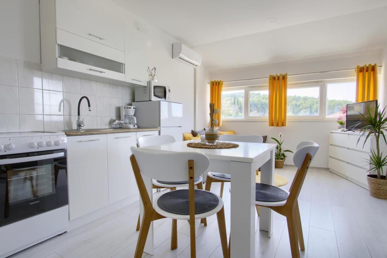 Apartments Villa Mihaela Banj Extérieur photo