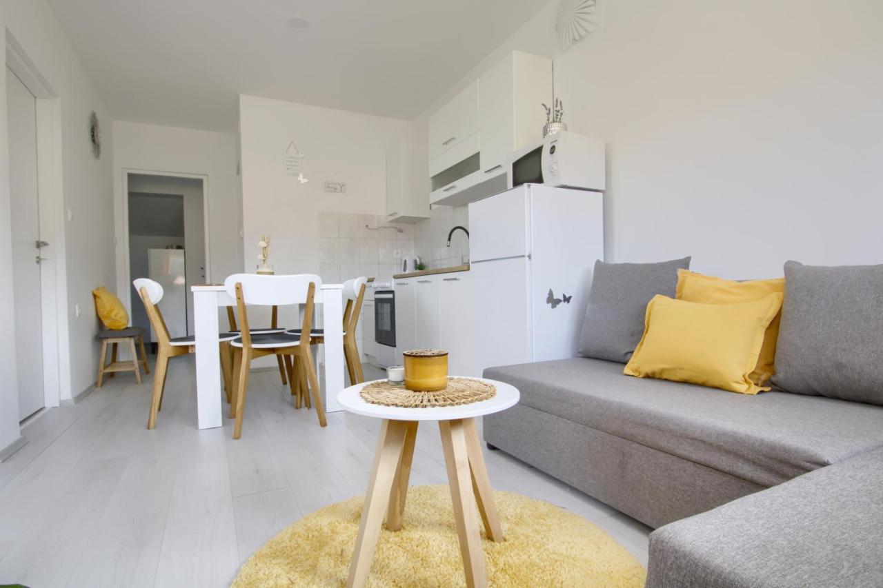 Apartments Villa Mihaela Banj Extérieur photo
