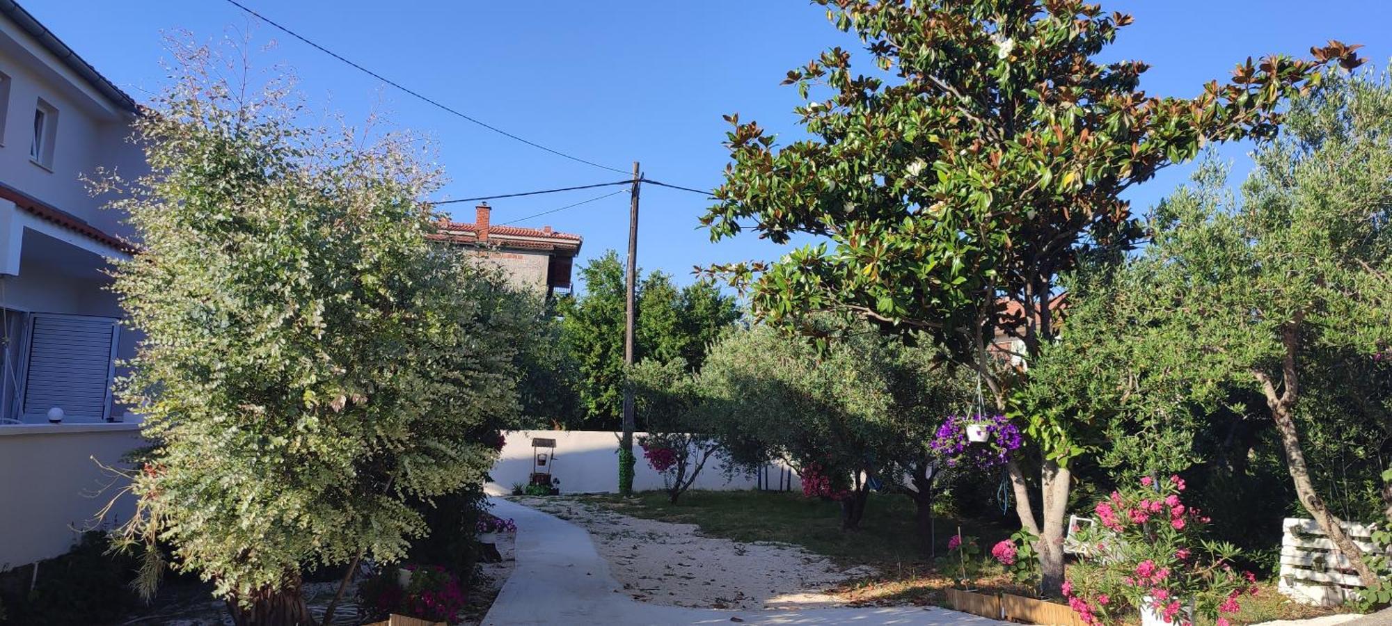 Apartments Villa Mihaela Banj Extérieur photo